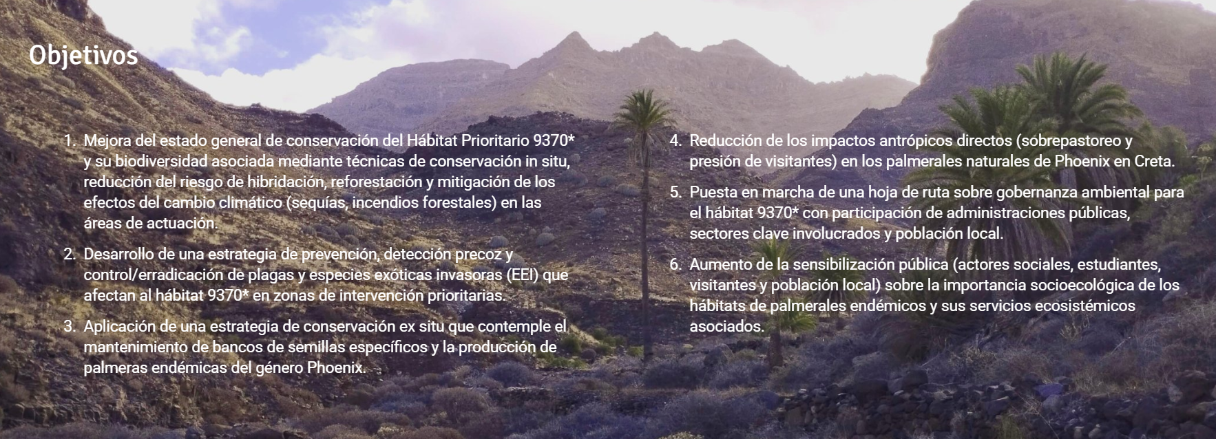 Imagen de la buena práctica